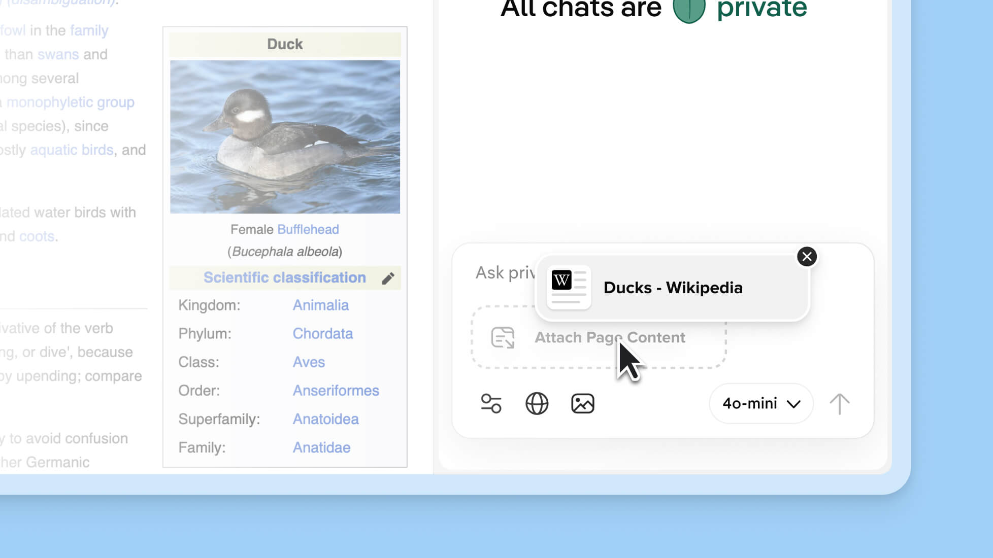 Share Web Page Content With Duck.ai